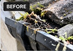 Before: gutter blocked with leaves and moss